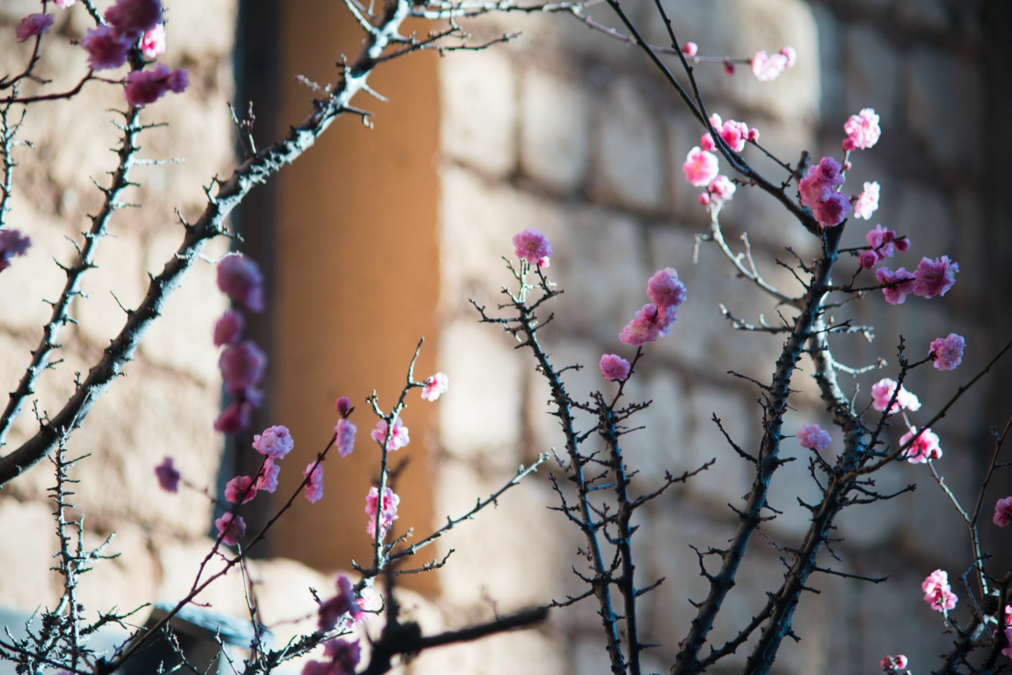 Lijiang Trustay Heartisan Boutique Hotel & Resort Dış mekan fotoğraf